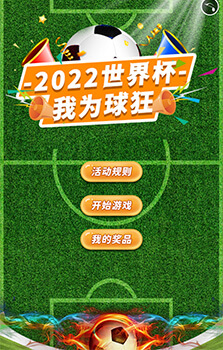 2022世界杯 我为球狂